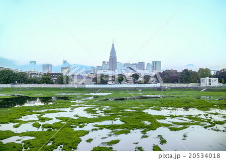 新国立競技場の建設前 『破壊と創造』 新国立競技場の建設前 『破壊と創造』 20534018
