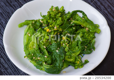 菜の花の辛し和え 20534200