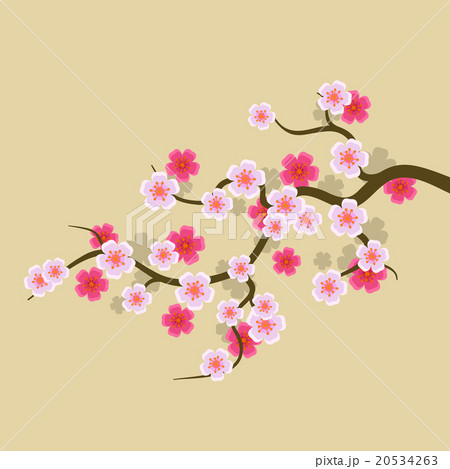 Sakura Flowers Background. Cherry Blossom Vector Sakura Flowers Background. Cherry Blossom Vector 20534263