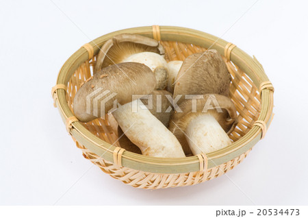 ホンシメジ 20534473