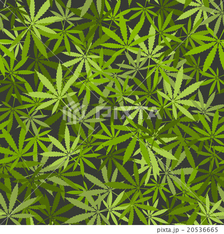 marijuana leaves seamless background marijuana leaves seamless background 20536665