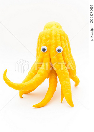 目玉シール・ブッシュカン:Wiggly-eyed Buddha's hand 目玉シール・ブッシュカン:Wiggly-eyed Buddha's hand 20537004