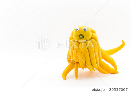 目玉シール・ブッシュカン:Wiggly-eyed Buddha's hand 20537007