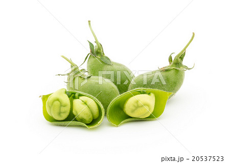 生ひよこ豆: Chickpea (Garbanzo bean) 20537523