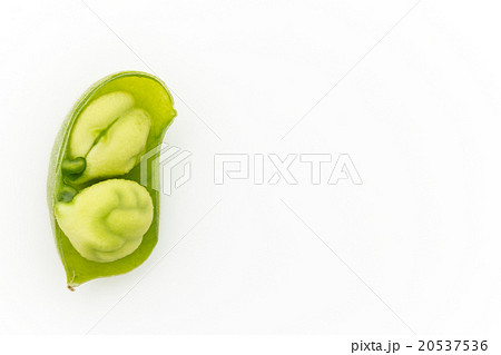 生ひよこ豆: Chickpea (Garbanzo bean) 20537536