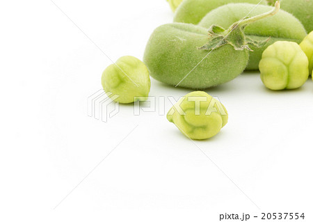 生ひよこ豆: Chickpea (Garbanzo bean) 20537554