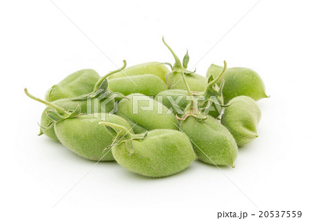 生ひよこ豆: Chickpea (Garbanzo bean) 20537559