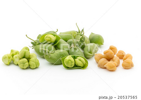 生ひよこ豆と茹でたひよこ豆: Chickpea (Garbanzo bean) 20537565
