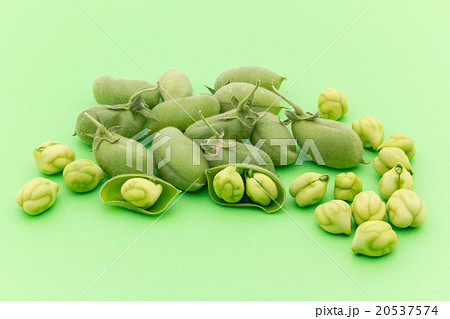 生ヒヨコマメ: Chickpea (Garbanzo bean) 20537574