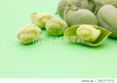 生ヒヨコマメ: Chickpea (Garbanzo bean) 20537575