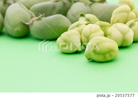 生ヒヨコマメ: Chickpea (Garbanzo bean) 20537577