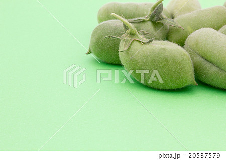 生ヒヨコマメ: Chickpea (Garbanzo bean) 20537579