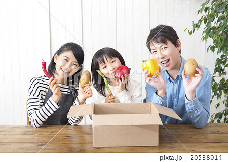 家族ライフスタイル 20538014