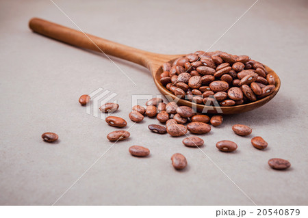 The composition of raw pinto beans . 20540879