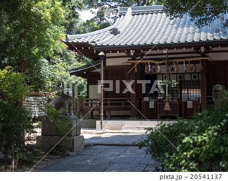 安井神社 安井神社 20541137