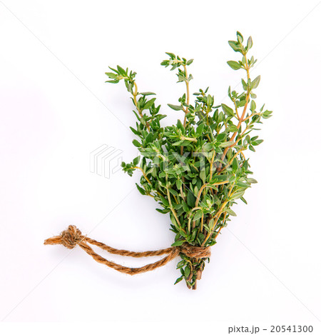 Branch of fresh thyme for seasoning concept . 20541300