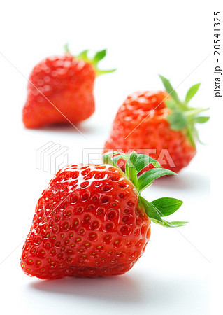 イチゴ5 20541325