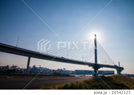 荒川土手と葛飾ハープ橋 20542125