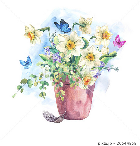 Watercolor Garden Spring bouquet in flower pots Watercolor Garden Spring bouquet in flower pots 20544858