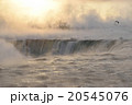 ナイアガラ滝　冬　寒い　－２１℃ 20545076