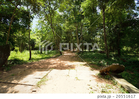 カンボジア シェムリアップ ベンメリア遺跡 カンボジア シェムリアップ ベンメリア遺跡 20551617