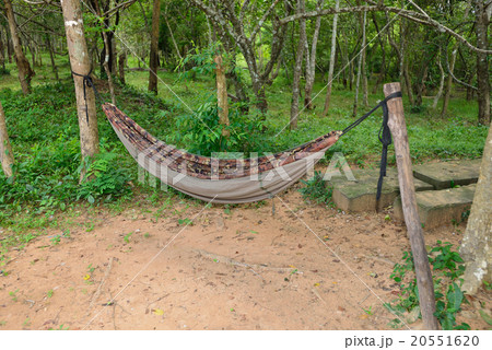 カンボジア シェムリアップ ベンメリア遺跡 カンボジア シェムリアップ ベンメリア遺跡 20551620
