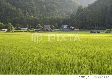 農山村の原風景を見る 20552442