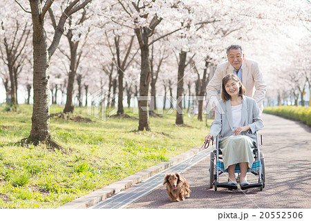 シニア夫婦 介護イメージ 20552506