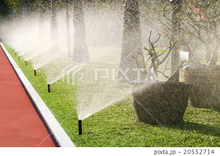Row of sprinkler heads watering the grass 20552714