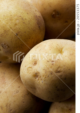 じゃが芋3 20553375