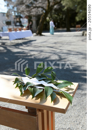 日本、japan、神社、大社、境内、晴れ、玉串、祈願、ceremony、shrine、god 20554090