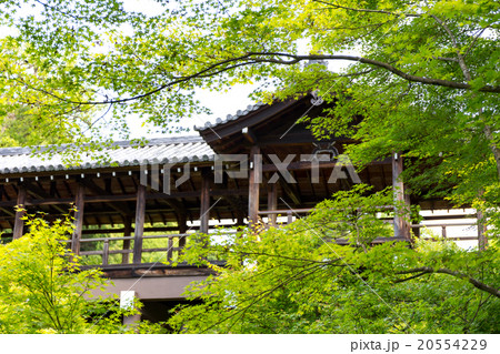 東福寺 新緑の通天橋の写真素材