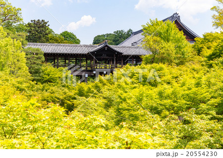 東福寺 新緑の通天橋の写真素材