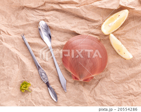 Raw queen scallops . Raw queen scallops . 20554286
