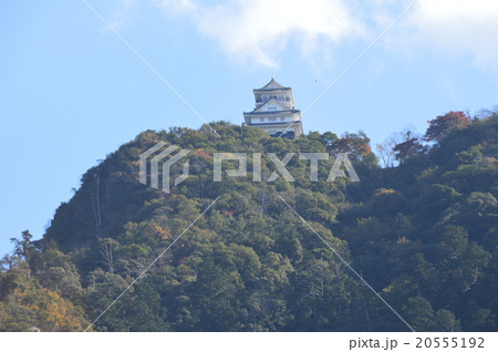 金華山・岐阜城(岐阜県岐阜市) 金華山・岐阜城(岐阜県岐阜市) 20555192