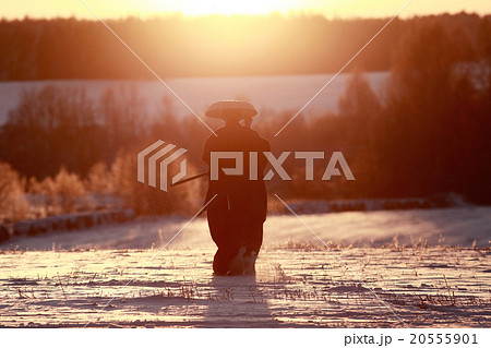oriental warrior winter sunset 20555901