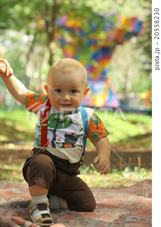little boy in summer park 20556230