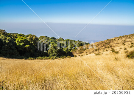 Mountains and Skyline Mountains and Skyline 20556952