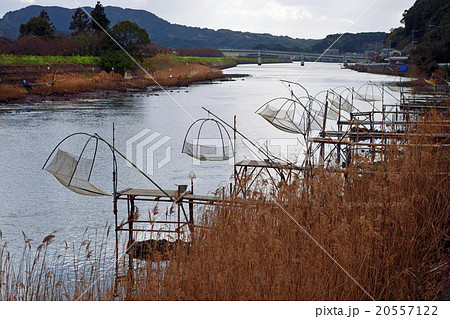 春の風物詩　シロウオ漁 20557122