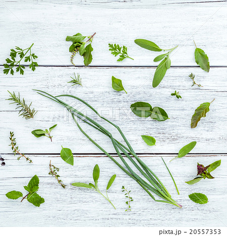 Various fresh herbs from the garden . 20557353