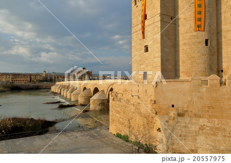 コルドバ 20557975