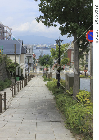 函館 八幡坂 函館 八幡坂 20559033