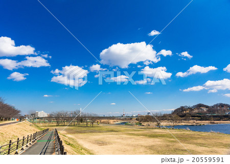 東京　多摩川河川敷（是政橋付近） 20559591