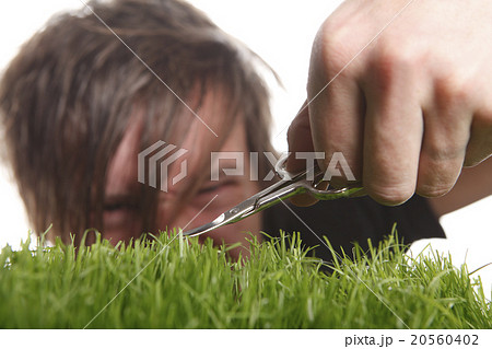 Young man cuts English lawn Young man cuts English lawn 20560402