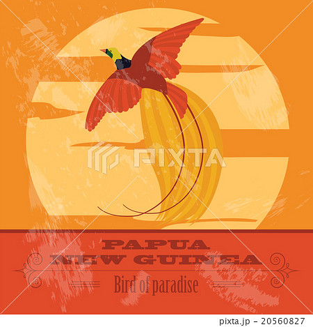 Papua New Guinea. Paradise bird. 20560827