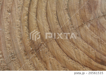 切り株と年輪 20561535