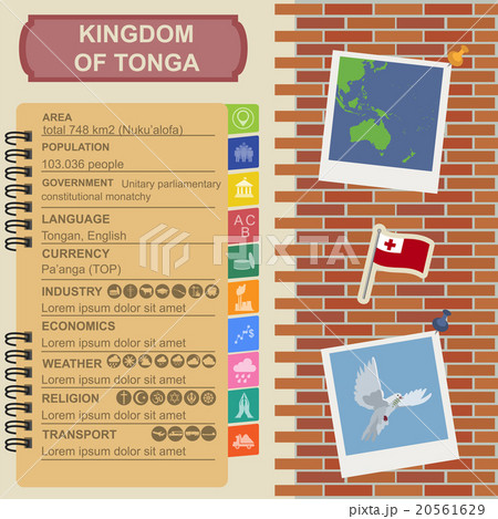 Tonga infographics Tonga infographics 20561629