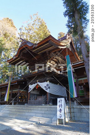 信州　諏訪　諏訪大社　諏訪神社の総本山　下社秋宮幣拝殿　立川富棟の華麗な彫刻　縦俯瞰 20563300