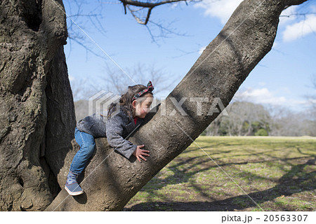 木登りをする女の子 20563307