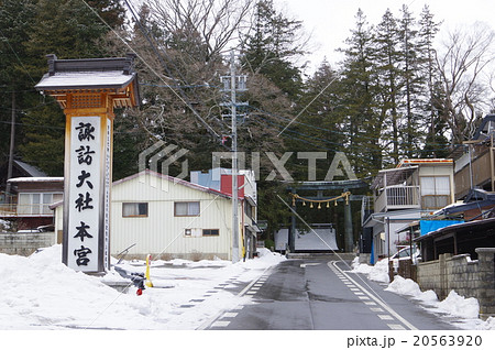 信州　諏訪　諏訪大社　諏訪神社の総本山　上社（かみしゃ）　参道横　御柱のゆく道 20563920